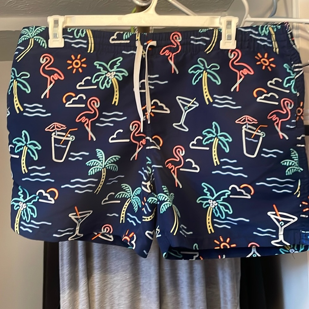 Men’s LG swim trunks, missing liner. Good condition.